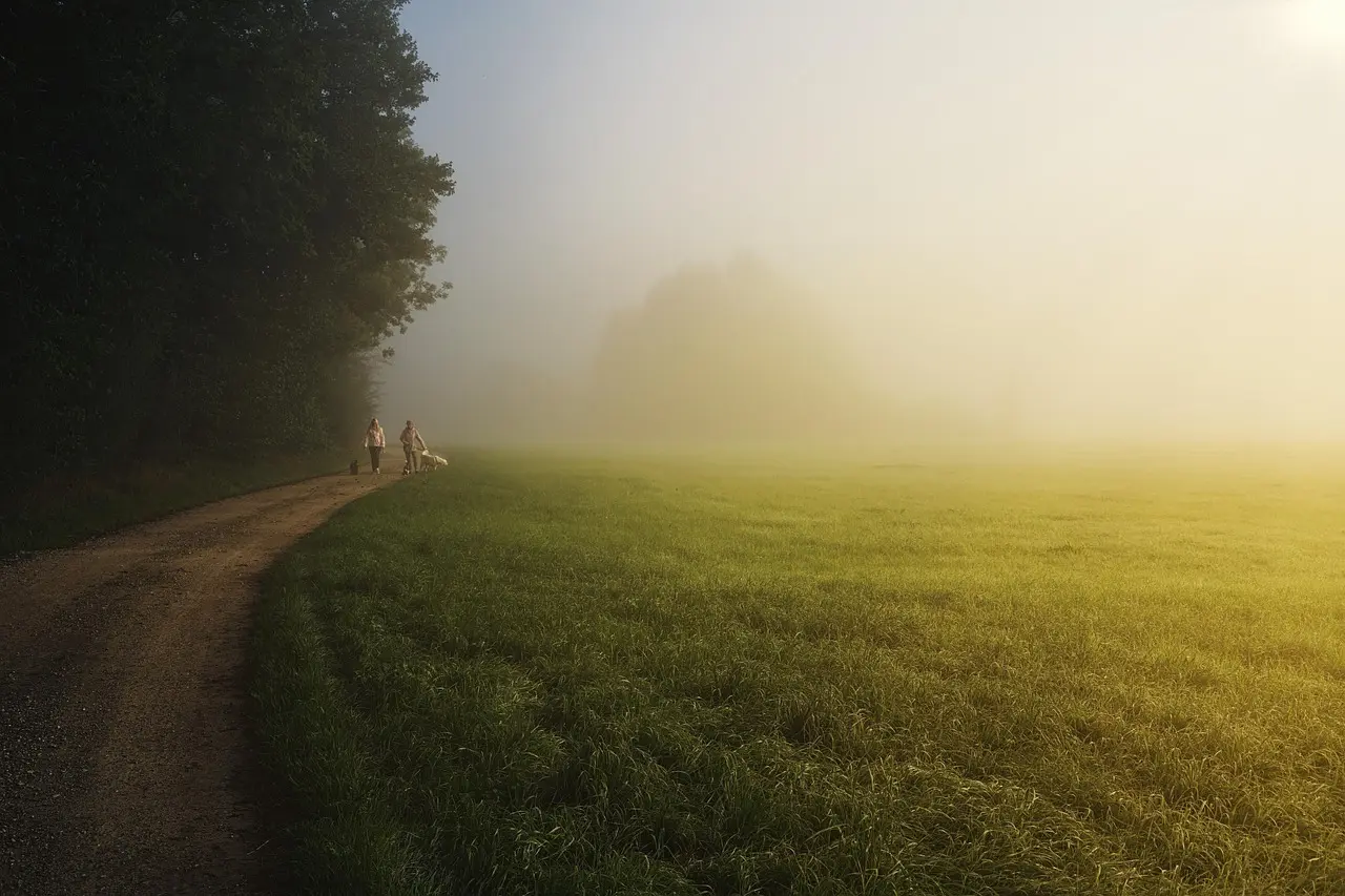 Weekendeventyr i nærområdet: Mikro-oplevelser uden stor planlægning